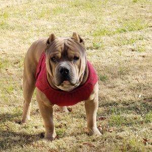 Meet your Posher, Eddie